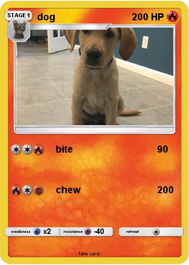 Pokemon dog