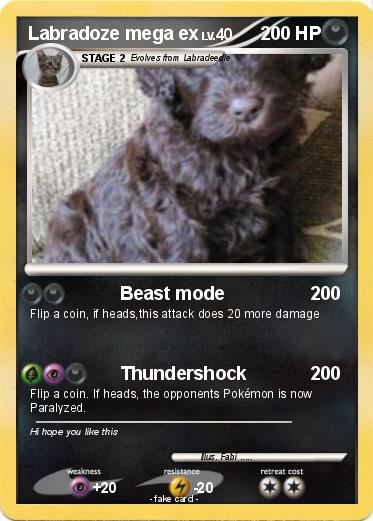 Pokemon Labradoze mega ex