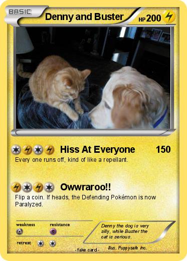 Pokemon Denny and Buster
