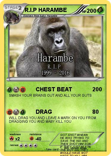 Pokemon R.I.P HARAMBE