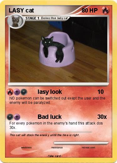 Pokemon LASY cat