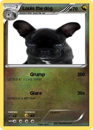 Pokemon Louis the dog