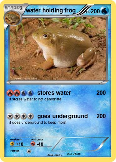 Pokemon water holding frog