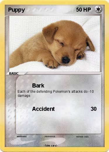 Pokemon Puppy