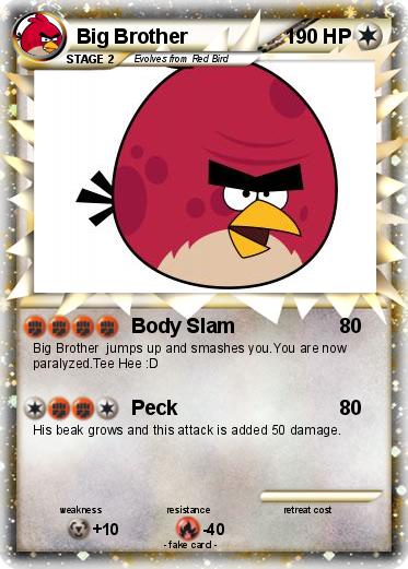 Pokemon Big Brother