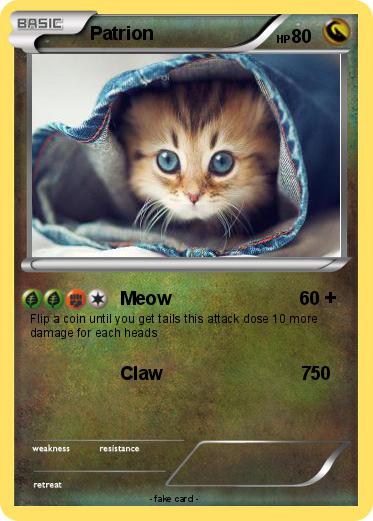 Pokemon Patrion