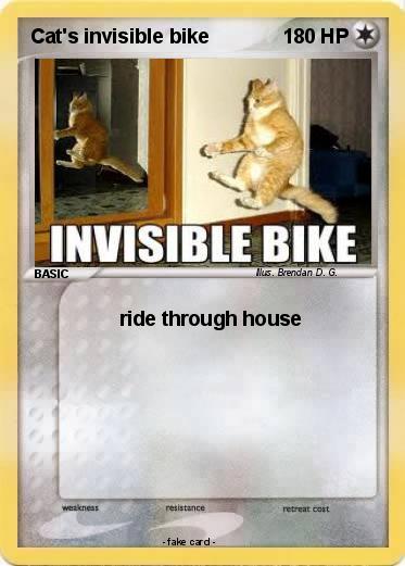 Pokemon Cat's invisible bike