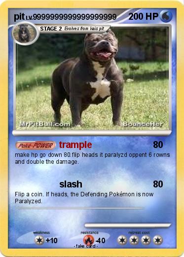 Pokemon pit