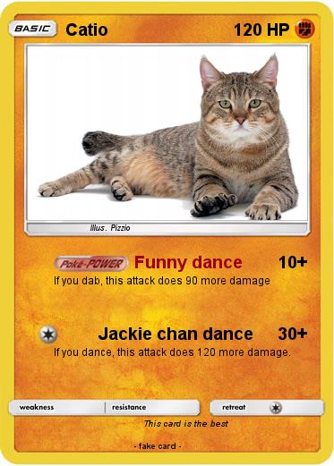 Pokemon Catio