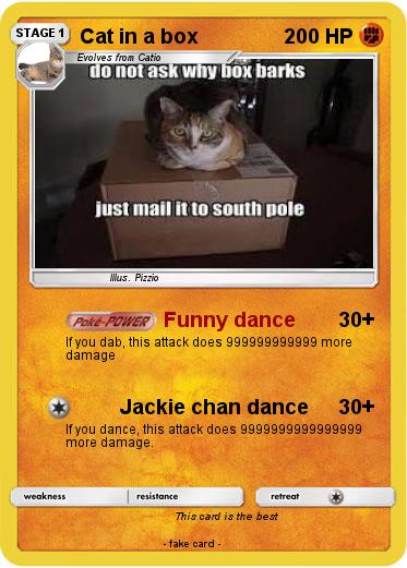 Pokemon Cat in a box