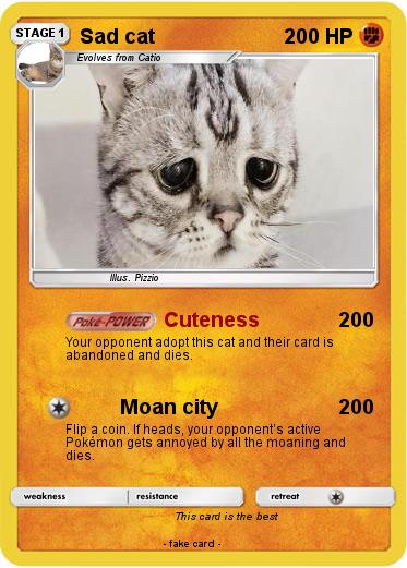 Pokemon Sad cat