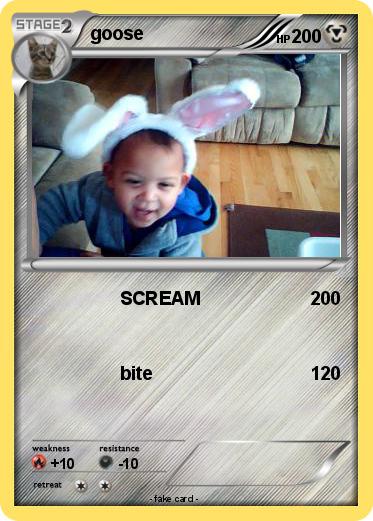 Pokemon goose
