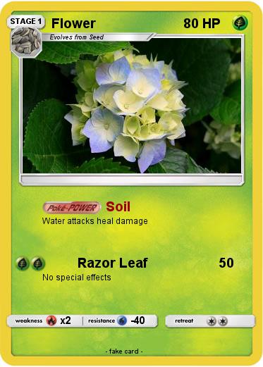 Pokemon Flower