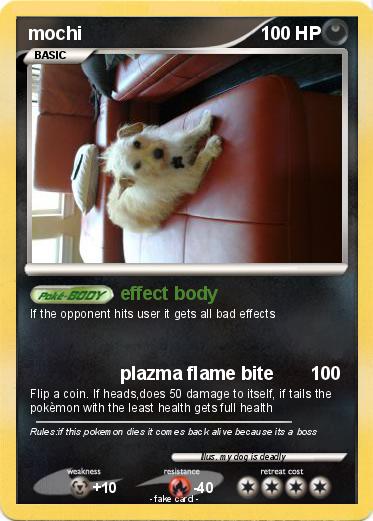 Pokemon mochi