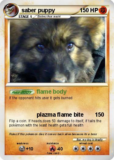 Pokemon saber puppy