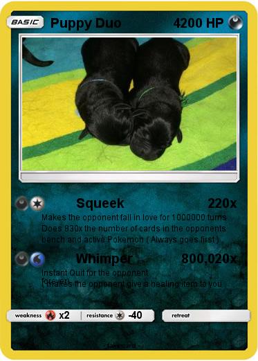 Pokemon Puppy Duo               4