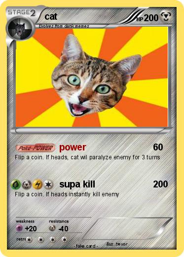 Pokemon cat