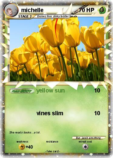 Pokemon michelle