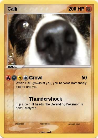 Pokemon Calli