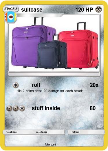 Pokemon suitcase