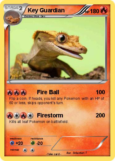 Pokemon Key Guardian