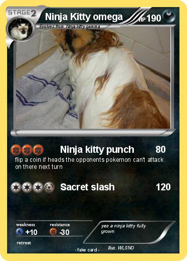Pokemon Ninja Kitty omega
