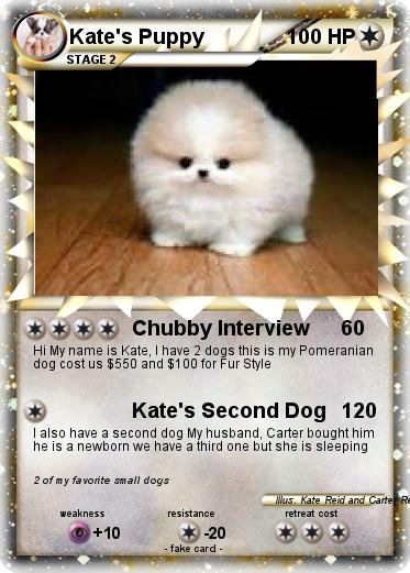 Pokemon Kate's Puppy
