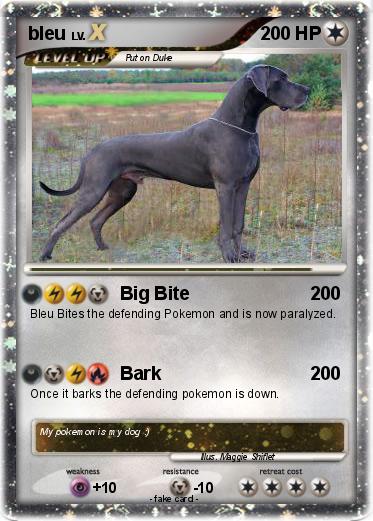 Pokemon bleu