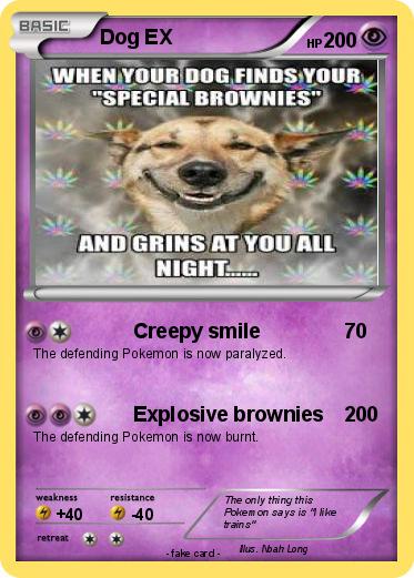 Pokemon Dog EX