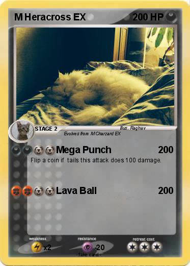 Pokemon M Heracross EX