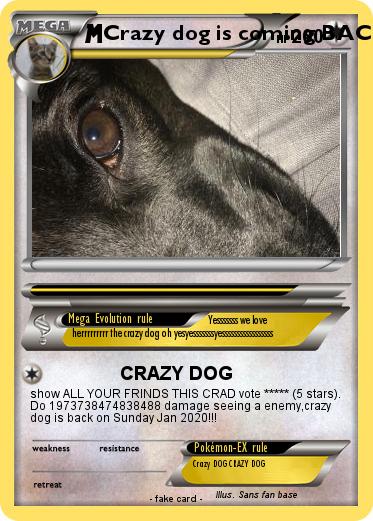 Pokemon Crazy dog is coming BACK
