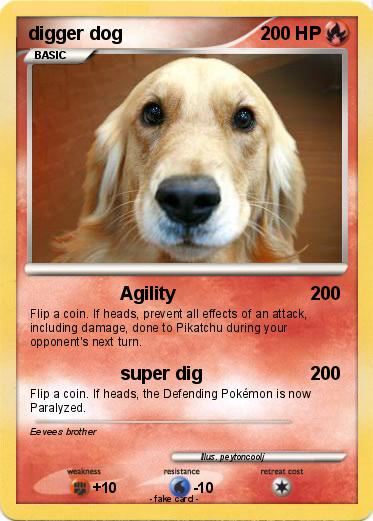 Pokemon digger dog