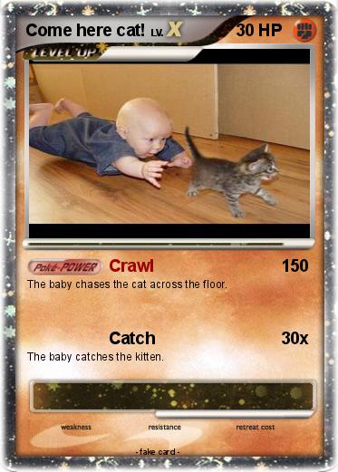 Pokemon Come here cat!