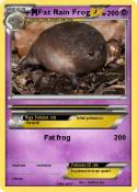 Fat Rain Frog
