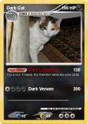 Dark Cat