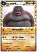 Big MONKE