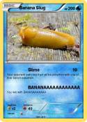 Banana Slug