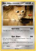 Epic Kitty