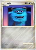 sully sully