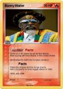 Bunny Wailer