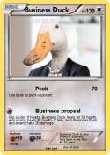 Business Duck
