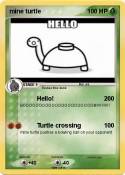 mine turtle