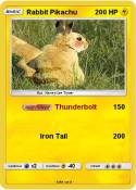 Rabbit Pikachu