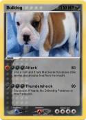 Bulldog