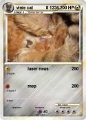 vinie cat 8