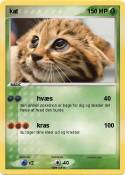kat