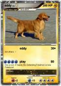 eddy eddy