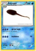 frog eggs