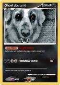 Ghost dog
