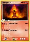Turnopto GX